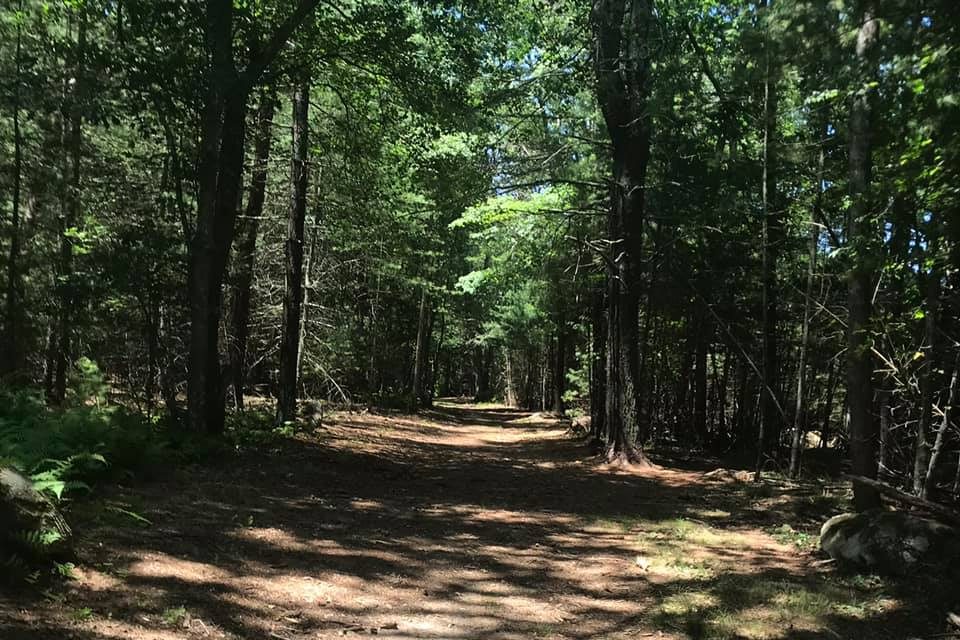 Why did you leave&nbsp;me?