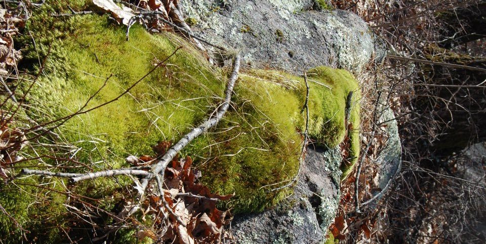 Nothing Left but the&nbsp;Crying