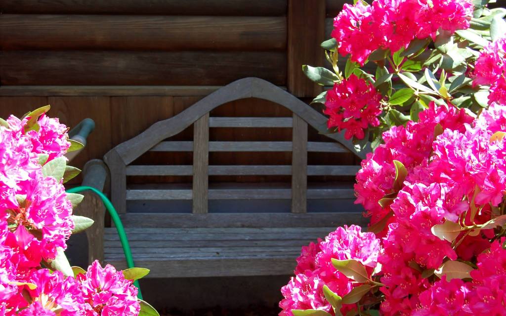 Honoring the Life You&nbsp;Had