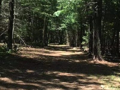 Sometimes it is OK not to be&nbsp;OK.