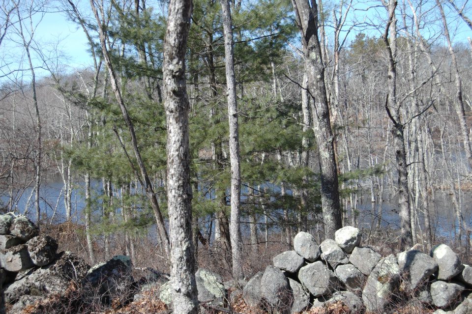 I Should Have…….