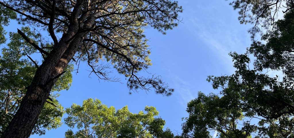 Get Ready for the&nbsp;Shift