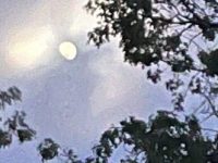 I Miss You The&nbsp;Most