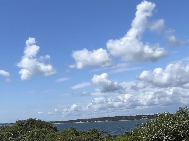 What Choice Do I&nbsp;have?