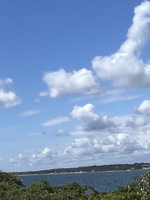 What Choice Do I&nbsp;have?